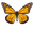 BUTTERFLY IMAGE (1).png
