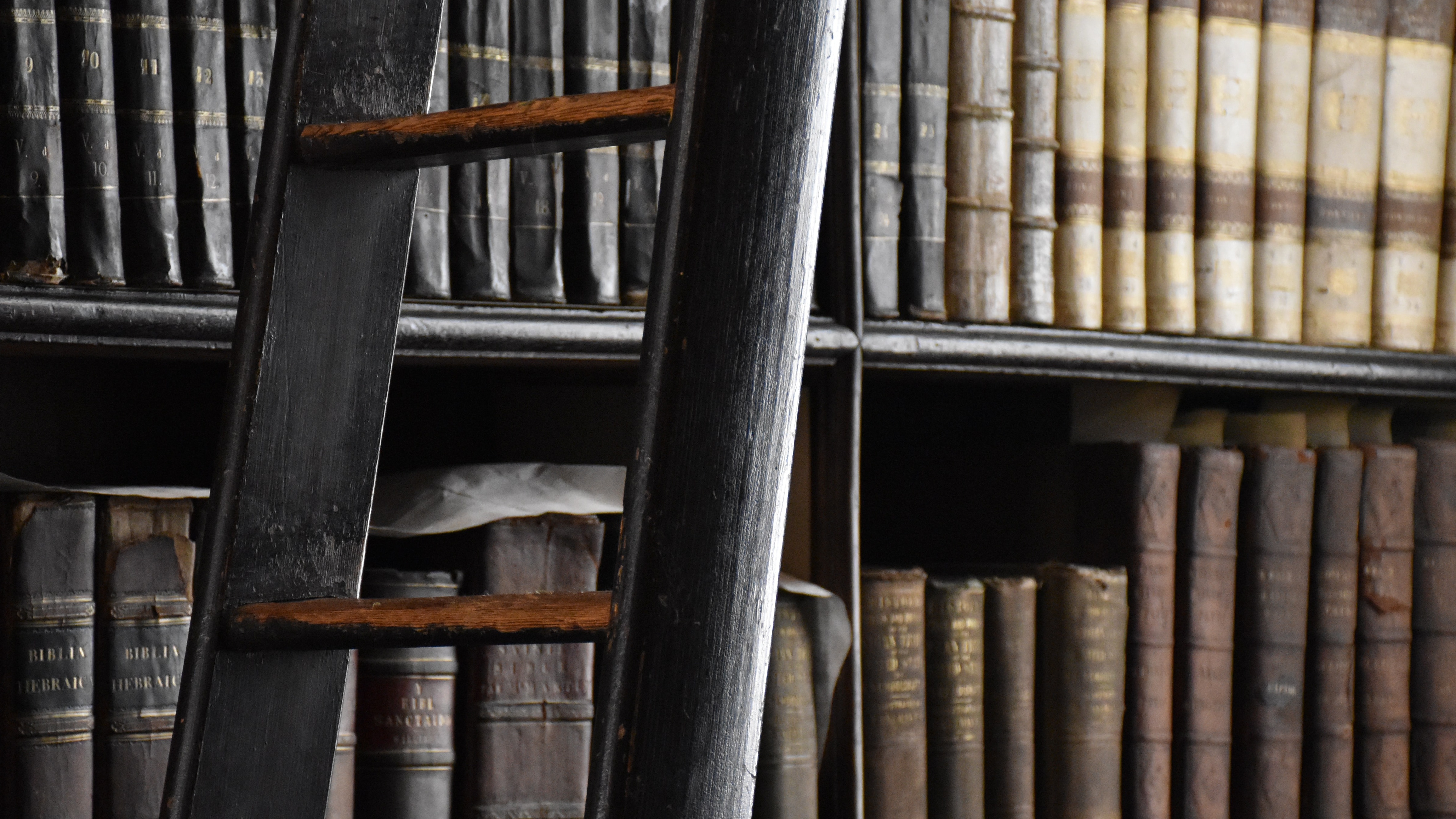 matteo-maretto-i75SxrzXABg-unsplash Cropped.jpg