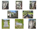procter headstones to restore.jpg